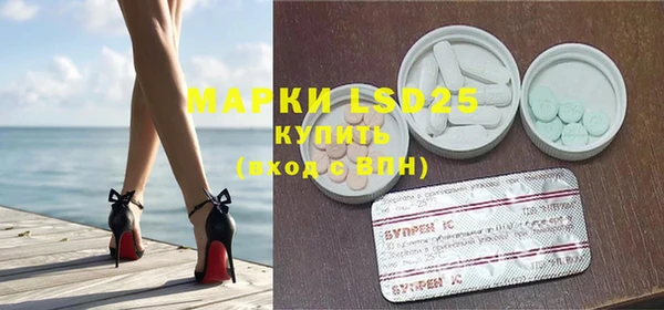 СК Новодвинск