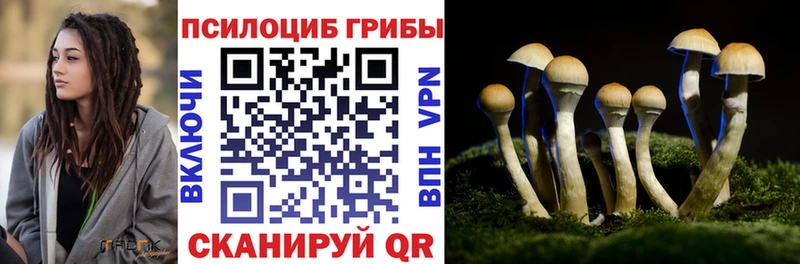 Купить  Нижнекамск  Галлюциногенные грибы GOLDEN TEACHER 